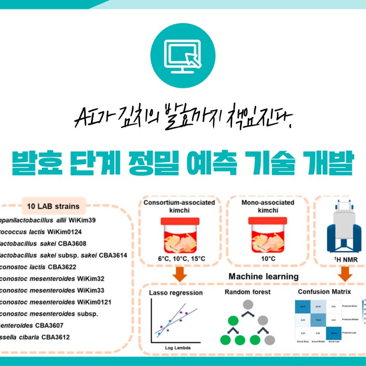 AI가 김치의 발효까지 책임진다. 세계김치연구소 발효 단계 정밀 예측 기술 개발